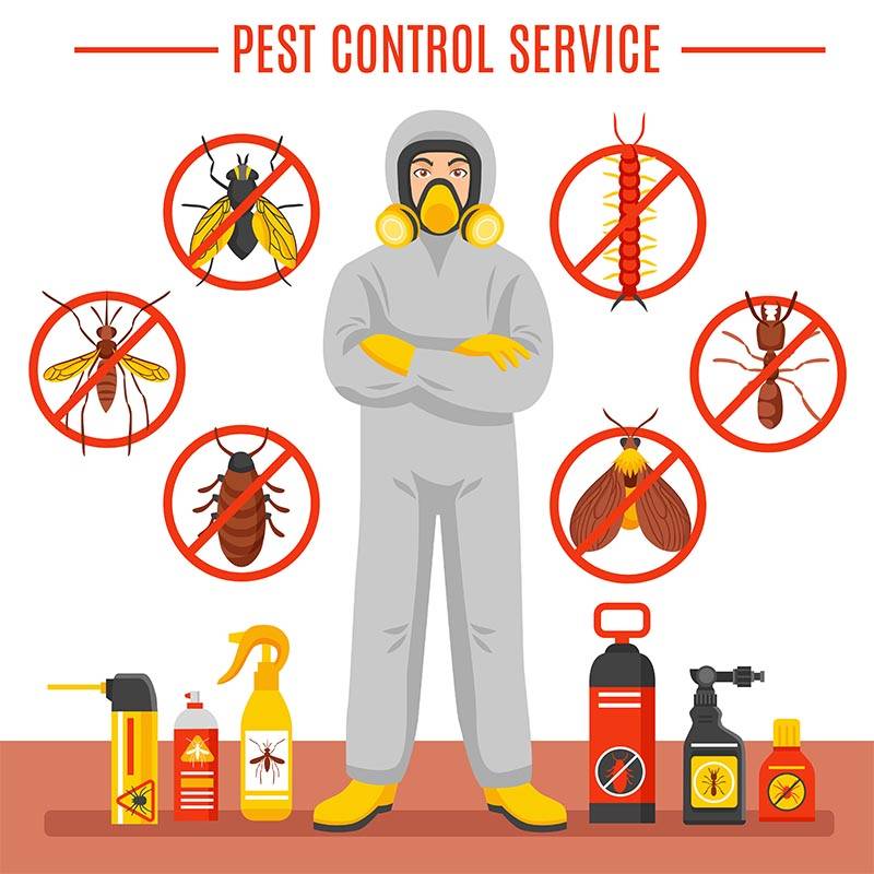 best pest control in Mumbai
