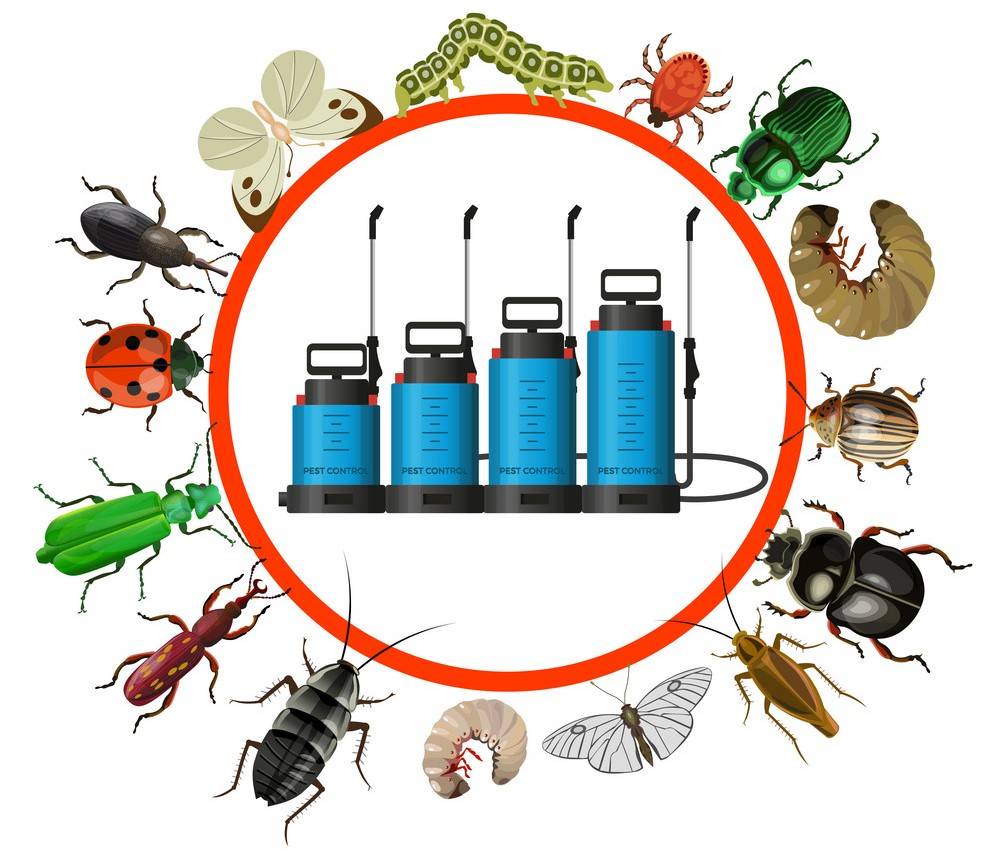best pest control in Mumbai