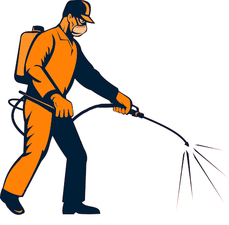 best pest control in Mumbai